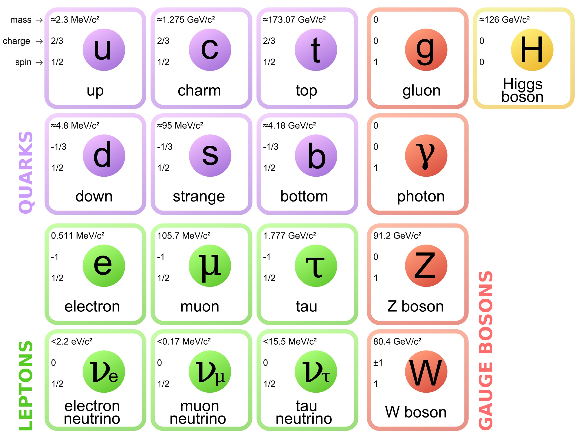 Standard Model Particles